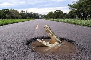 Автомобильный юмор — чего только не случается на дороге